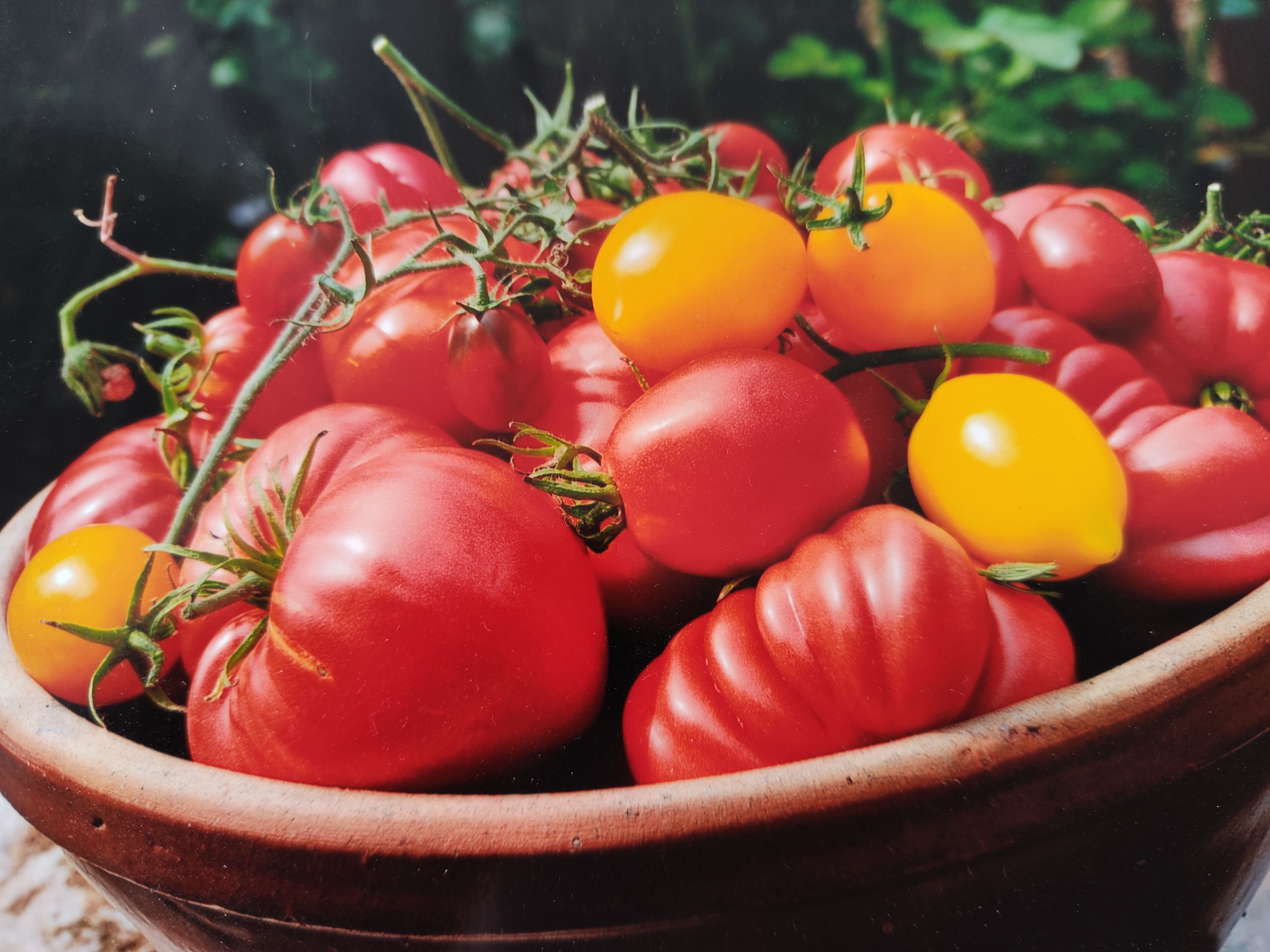 Tomatenvielfalt
