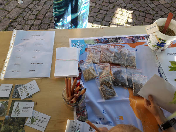 Teemischungen selber machen
