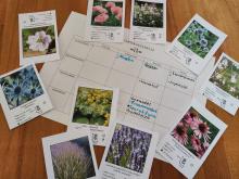 Vorarbeiten für ein Blumenbeet